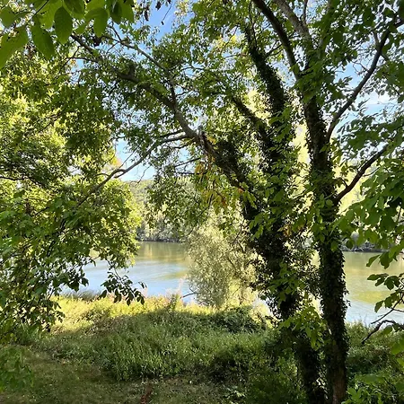 Pensión Dans Les Arbres Avec Bain Nordique Moisson