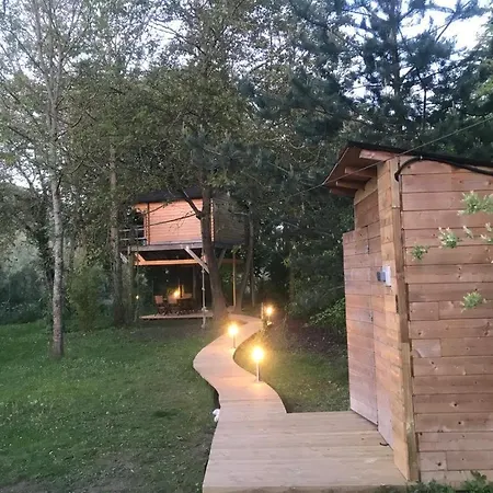 Konukevi Dans Les Arbres Avec Bain Nordique 3*
