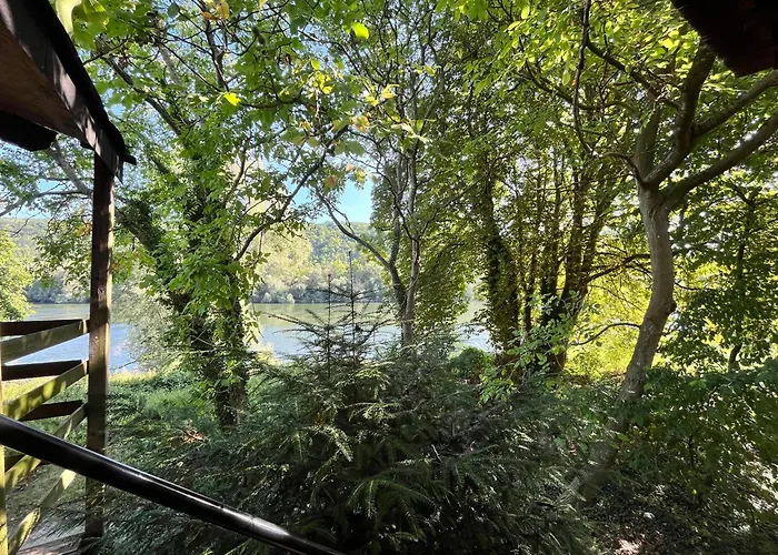 Dans Les Arbres Avec Bain Nordique Pensión 3*